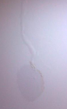 墻內水管漏水怎么辦呢？