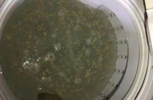 半自動洗衣機不排水的原因 半自動洗衣機不排水解決方法